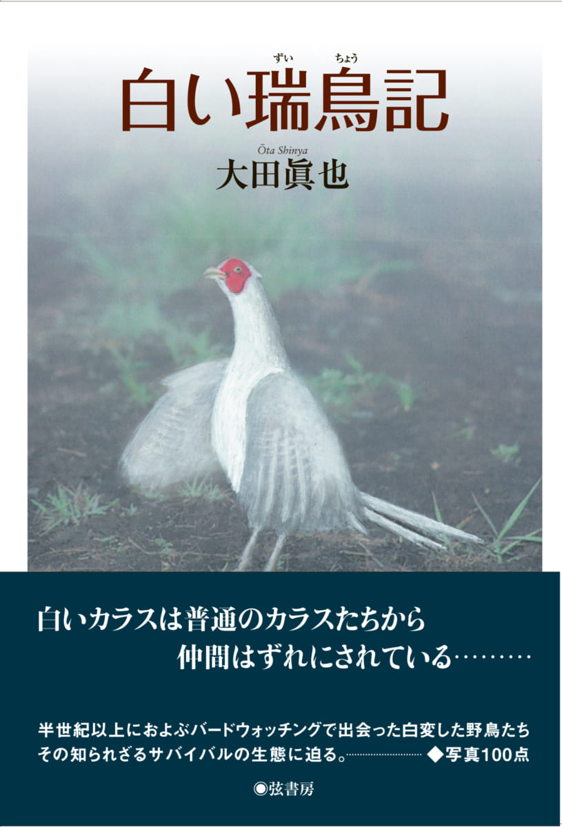白い鳥 backend=imagemagick;version=1;